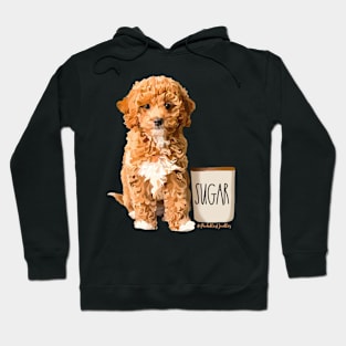 Sugar the Cockapoo Hoodie